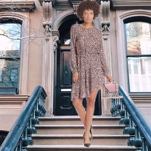 Parker Long Sleeve Dress NWT